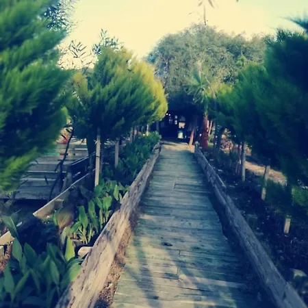Patara Green Park Luksustelt Karadere (Aegean)