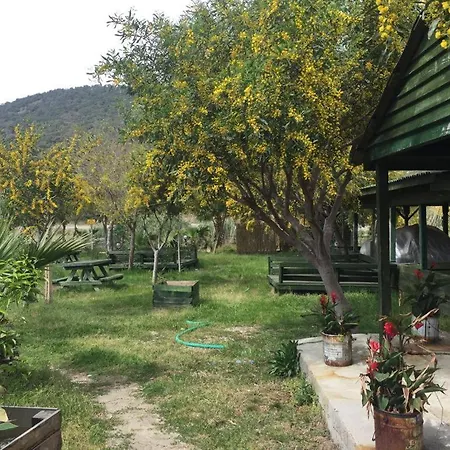 Patara Green Park Tente de luxe *