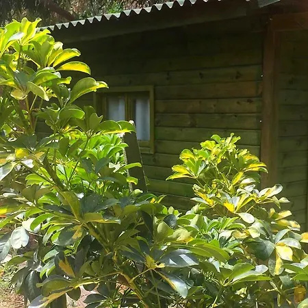 Patara Green Park Tente de luxe