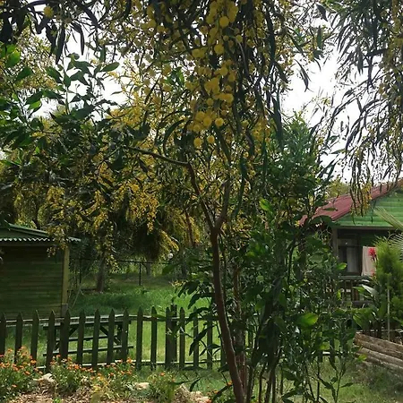Patara Green Park 럭셔리텐트 *